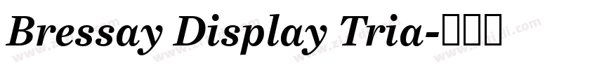 Bressay Display Tria字体转换